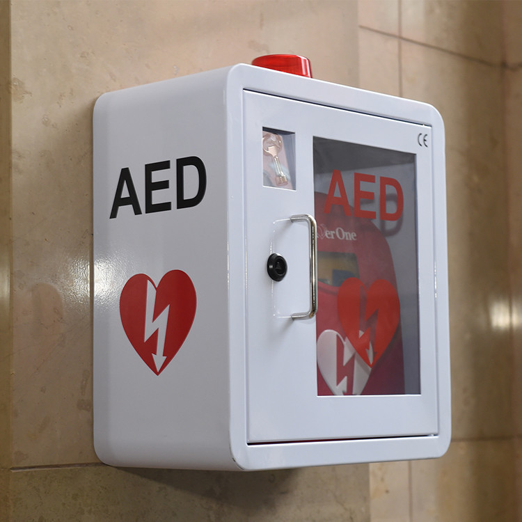 Duurzaam Defibrillator de Kabinetten Binnengebruik van Staalaed met Gebogen Hoek